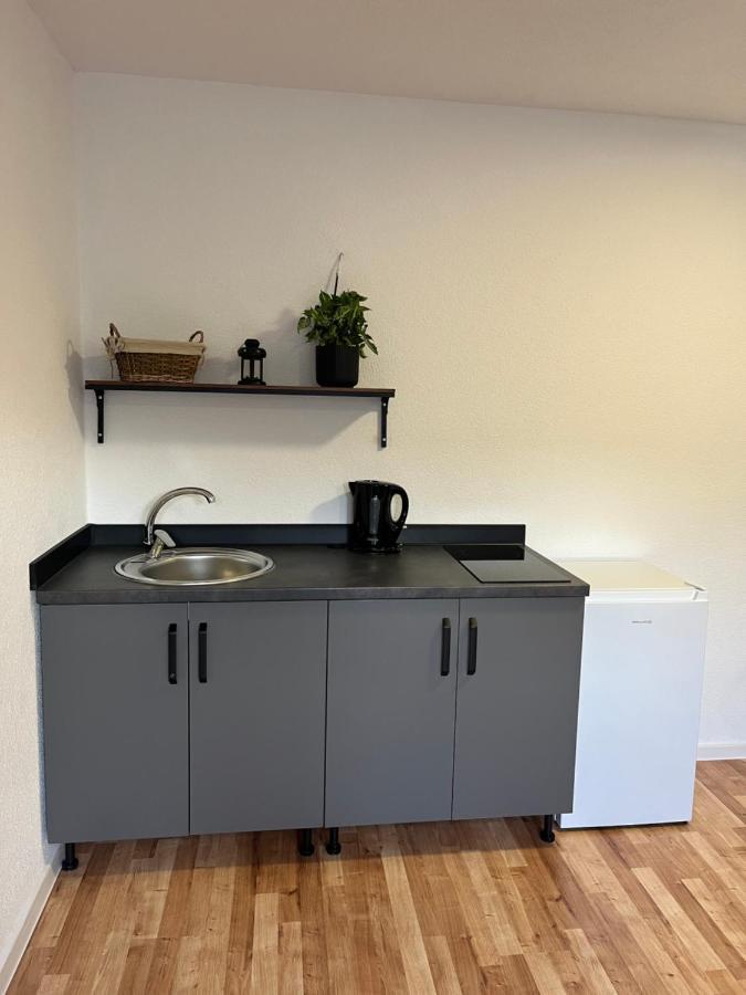 Apartman Gabi Łuczeniec Zewnętrze zdjęcie